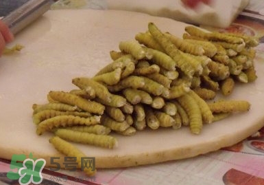 豆丹做菜前怎么處理干凈？豆丹怎么養(yǎng)殖