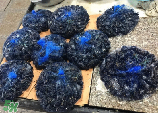 知了多少錢一斤？知了多少錢一斤2017？