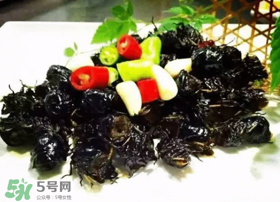 知了多少錢一斤？知了多少錢一斤2017？