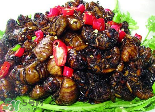 知了猴多少錢一個？油炸知了猴多少錢一盤？