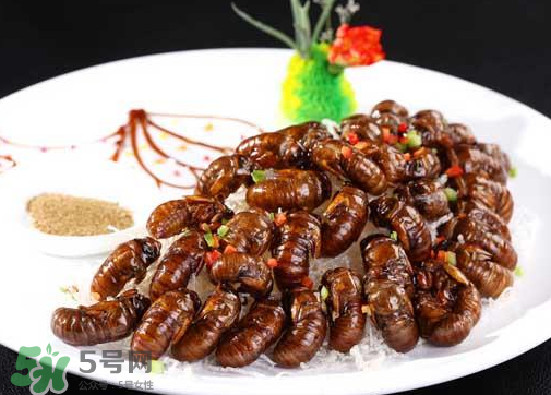 知了不能和什么一起吃？知了猴不能和什么同吃？