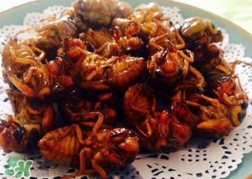 知了不能和什么一起吃？知了猴不能和什么同吃？