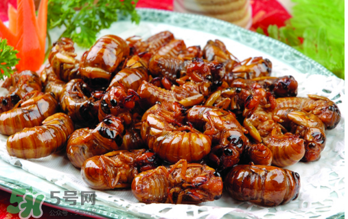 知了不能和什么一起吃？知了猴不能和什么同吃？