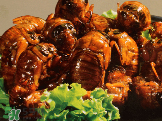 知了猴怎么吃？知了猴什么人不能吃？