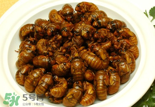 知了猴可以和雞蛋一起吃嗎？知了和雞蛋可以一起吃嗎？