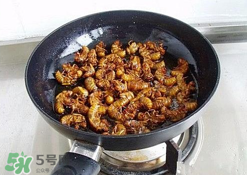 知了猴可以和雞蛋一起吃嗎？知了和雞蛋可以一起吃嗎？