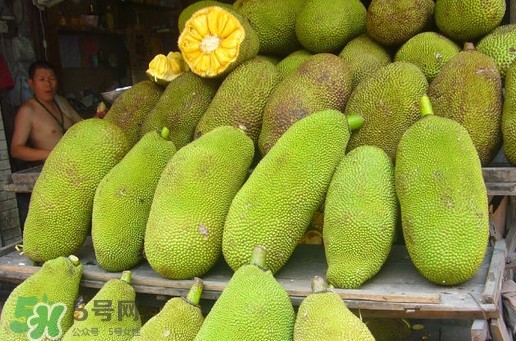 木菠蘿買來怎么吃？木菠蘿吃多了會怎樣？