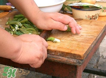 豆丹做菜前怎么處理干凈？豆丹怎么養(yǎng)殖