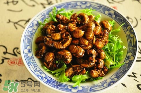 金蟬多少錢(qián)一斤？金蟬多少錢(qián)一斤2017？