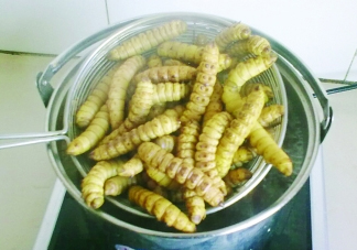 豆丹做菜前怎么處理干凈？豆丹怎么養(yǎng)殖