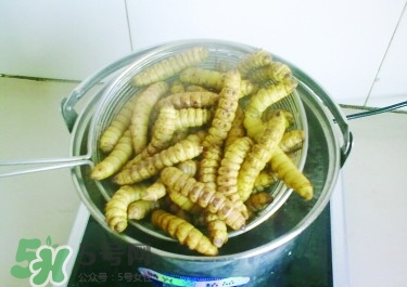 豆丹做菜前怎么處理干凈？豆丹怎么養(yǎng)殖