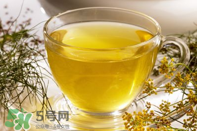 HS有機(jī)兒童茴香茶怎么用_說明書 HS有機(jī)兒童茴香茶怎么用_說明書