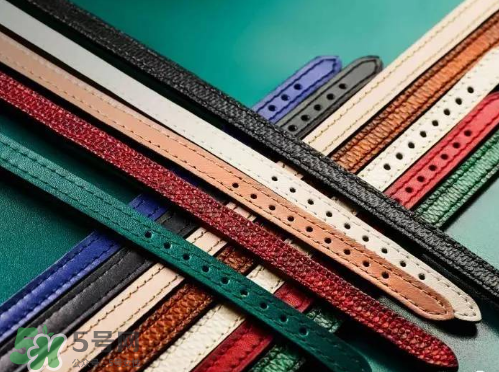 寶格麗全新serpenti系列腕表怎么樣？寶格麗全新蛇形手表好不好？