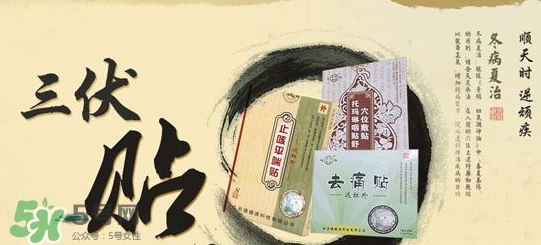 貼三伏貼掛什么科？三伏貼掛什么號？