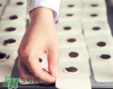 貼三伏貼可以吃魚嗎？貼三伏貼可以吃什么魚？