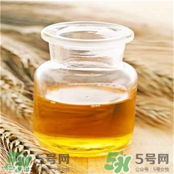 小麥胚芽油是什么?小麥胚芽油的功能 小麥胚芽油是什么?小麥胚芽油的功能