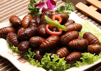 知了猴能淹死嗎？知了猴哪個(gè)部位不能吃？