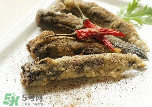 彈涂魚(yú)是兩棲動(dòng)物嗎？彈涂魚(yú)營(yíng)養(yǎng)價(jià)值有哪些