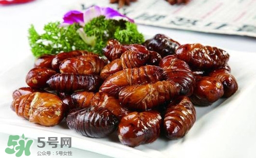 蟬蛹里面黑色的能吃嗎？蟬蛹是怎么形成的