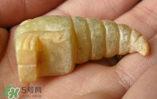 蟬蛹能吃嗎？蟬蛹怎么做好吃