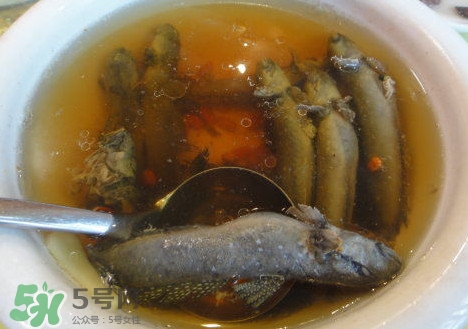 跳跳魚多少錢一斤？跳跳魚是淡水魚嗎？