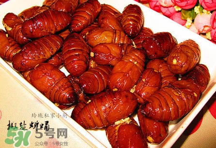 蟬蛹有寄生蟲嗎？蟬蛹有毒嗎