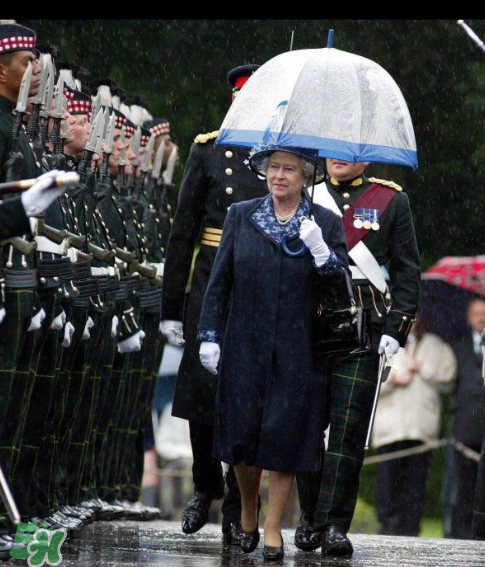 fulton雨傘多少錢？富爾頓雨傘價格