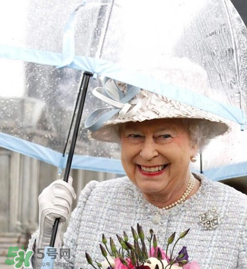 fulton雨傘多少錢？富爾頓雨傘價格