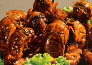 吃知了猴有什么好處？吃知了猴的好處與壞處