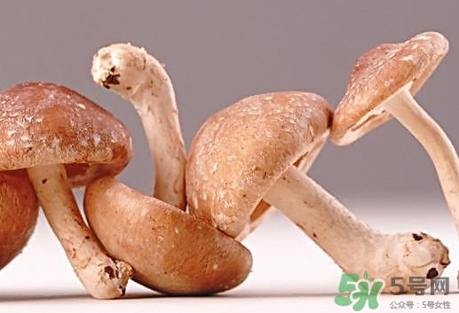 什么病不能吃香菇？香菇不能和什么一起吃