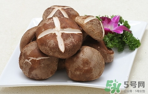 香菇是發(fā)物嗎？香菇是干的好還是新鮮的好