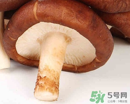 香菇是蘑菇嗎？香菇和蘑菇有什么區(qū)別