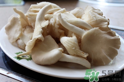 平菇怎么吃最有營(yíng)養(yǎng)？平菇長(zhǎng)白毛還能吃嗎