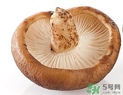 什么病不能吃香菇？香菇不能和什么一起吃