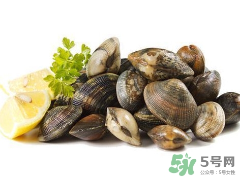 白蛤蜊和花蛤蜊哪個泥沙多？花蛤蜊怎么清洗干凈