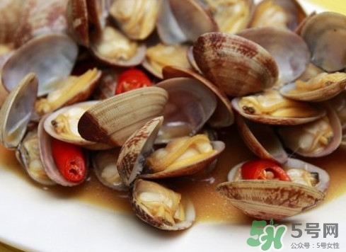 花蛤如何快速吐沙子？花蛤吐沙鹽水比例多少？