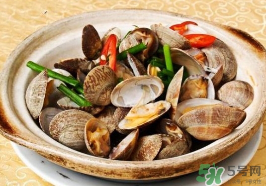 花蛤如何快速吐沙子？花蛤吐沙鹽水比例多少？