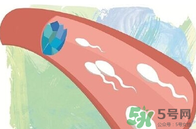 男性避孕藥什么牌子好？男性避孕藥多少錢一盒？