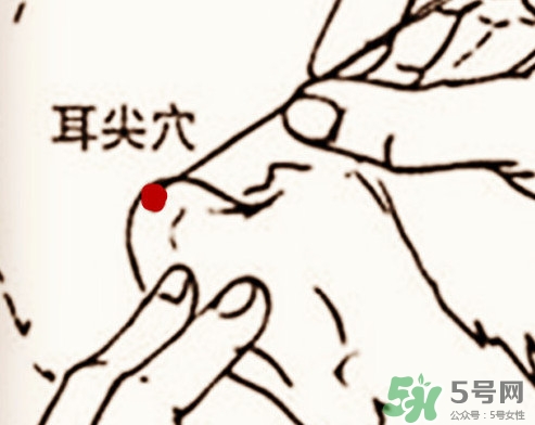 什么是放血療法？放血療法能治什么病