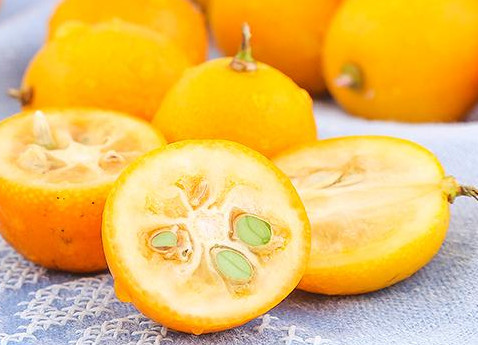 金桔是幾月份的水果？金桔是什么季節(jié)的水果