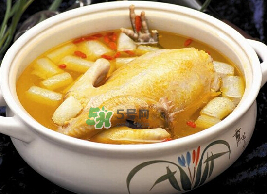 三伏天可以喝雞湯嗎_三伏天喝雞湯好嗎_三伏天喝雞湯的好處 三伏天可以喝雞湯嗎_三伏天喝雞湯好嗎_三伏天喝雞湯的好處