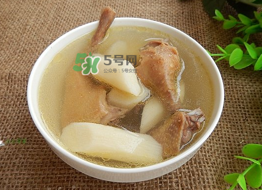 三伏天能吃鴿子嗎？三伏天能喝鴿子湯嗎？