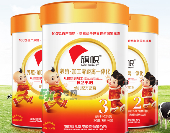 旗幟奶粉怎么樣？旗幟奶粉好不好？