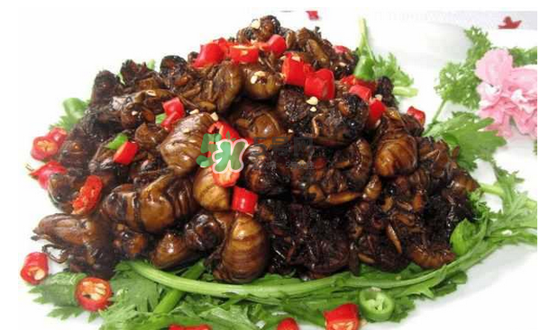 金蟬有寄生蟲嗎？金蟬有毒嗎？