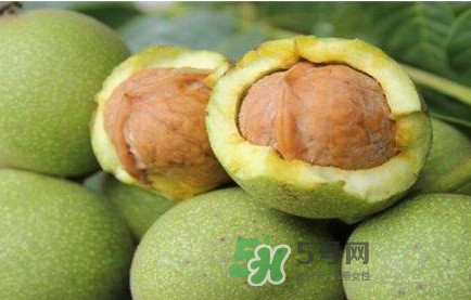 青皮核桃營養(yǎng)價(jià)值高嗎？青皮核桃怎么挑選