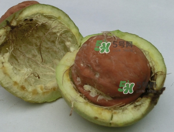 核桃最外面的青皮有什么用？為什么摸了核桃的青皮手會(huì)黑？