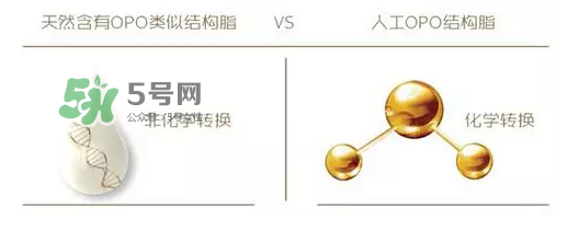 奶粉里面的OPO是什么？opo是天然的還是后期添加的？