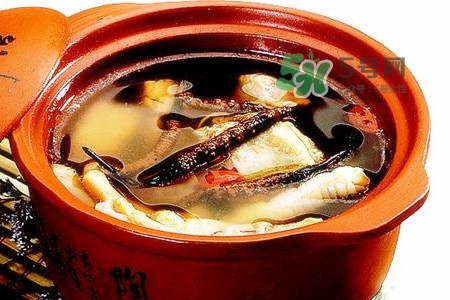 三伏天可以補(bǔ)腎嗎？三伏天可以進(jìn)補(bǔ)嗎？