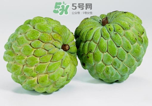 刺果番荔枝怎么吃？釋迦和刺果番荔枝區(qū)別