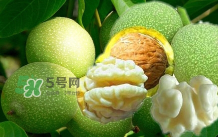 青皮核桃?guī)捉锍鲆唤锔珊颂遥壳嗥ず颂沂裁磿r候成熟